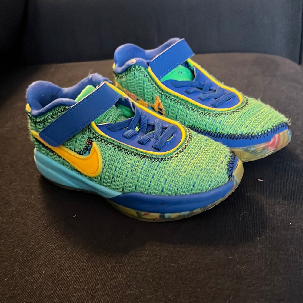 Nike LeBron XX SE